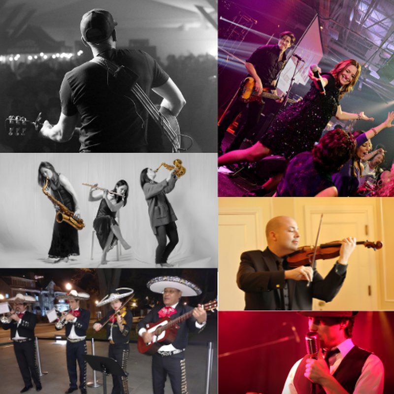 Musiciens